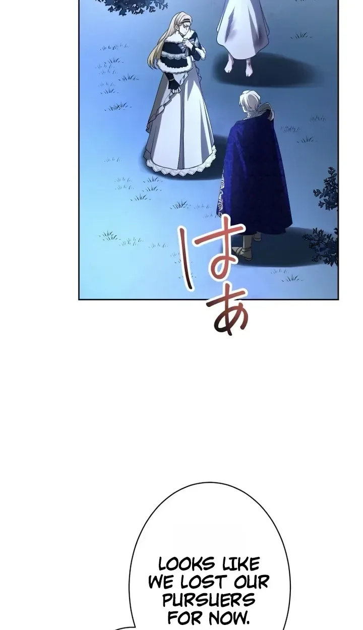 Don’t Obsess Over the Fake Princess! Chapter 44 397 a227184455b3