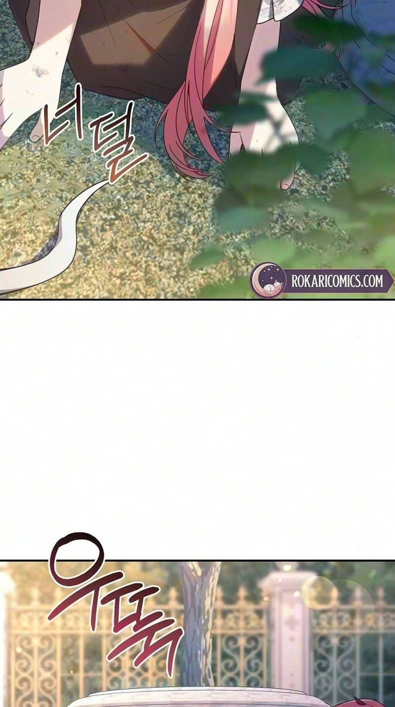 87627a23425d