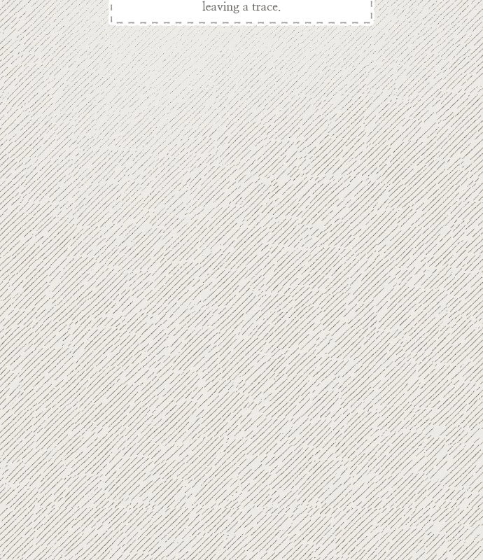06e61632ec81