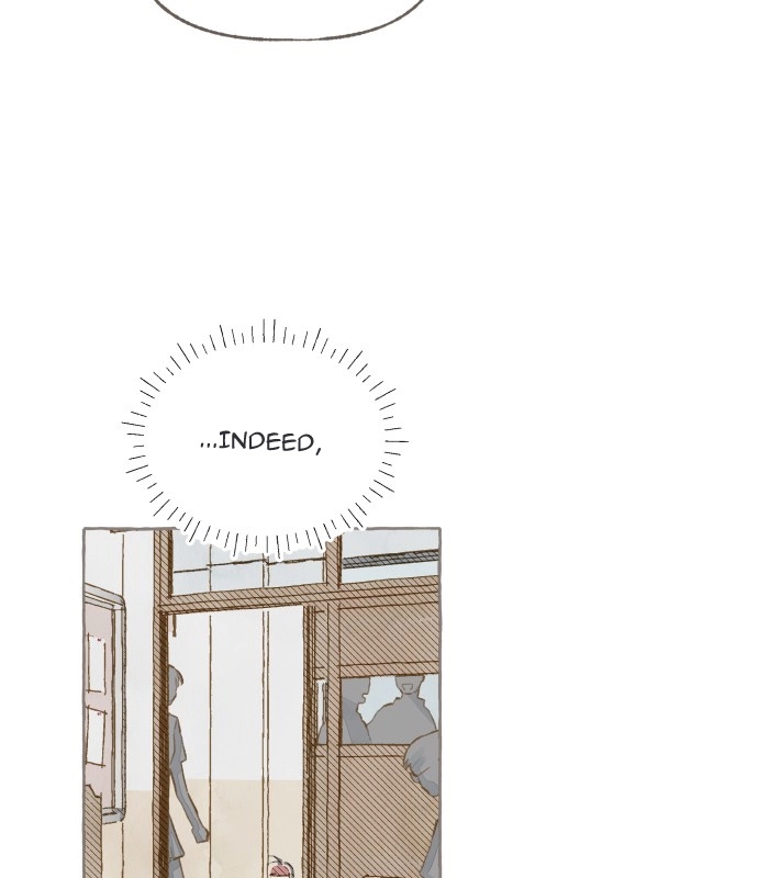 3d3b6cc29d58
