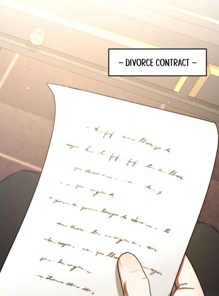 You Promised to Divorce Me After 10 Years, Right Dear? Chapter 29 363 008
