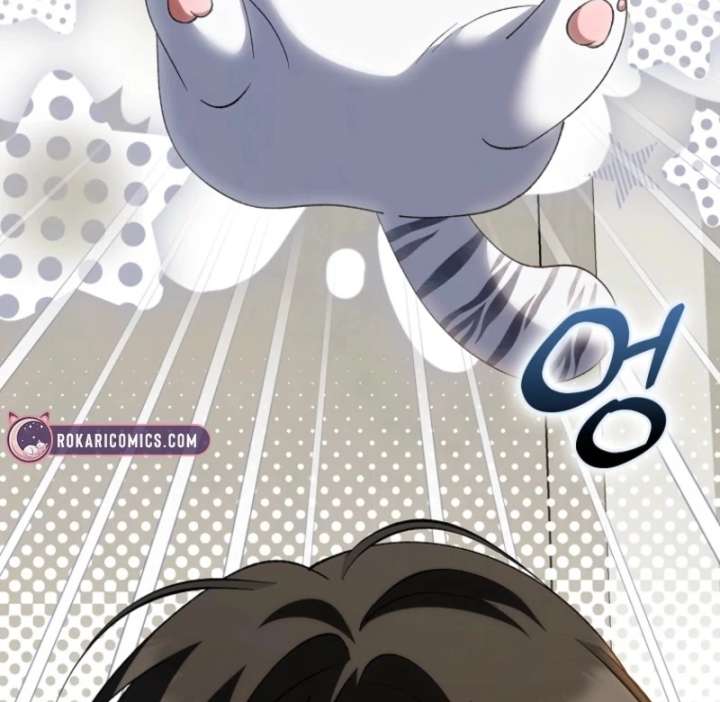 036
