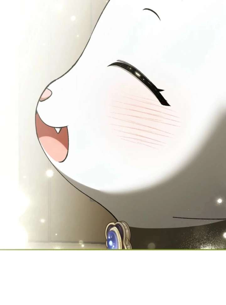 The White Tiger Princess is Not in Danger Chapter 17 441 035