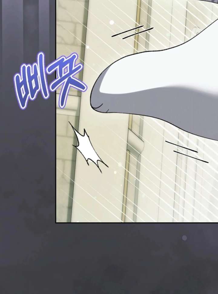 The White Tiger Princess is Not in Danger Chapter 17 478 072