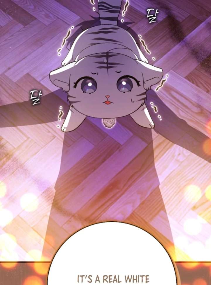 The White Tiger Princess is Not in Danger Chapter 3 369 044