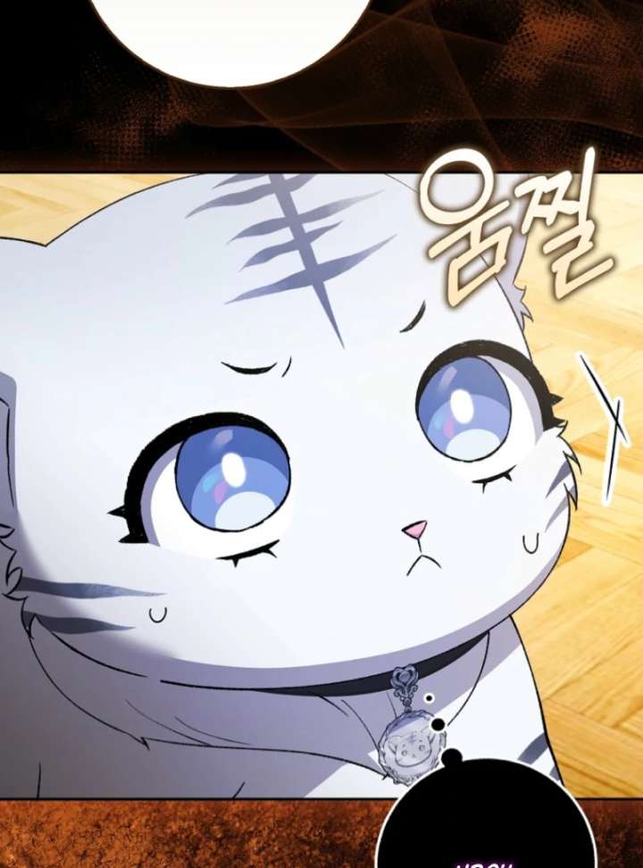 The White Tiger Princess is Not in Danger Chapter 3 392 067