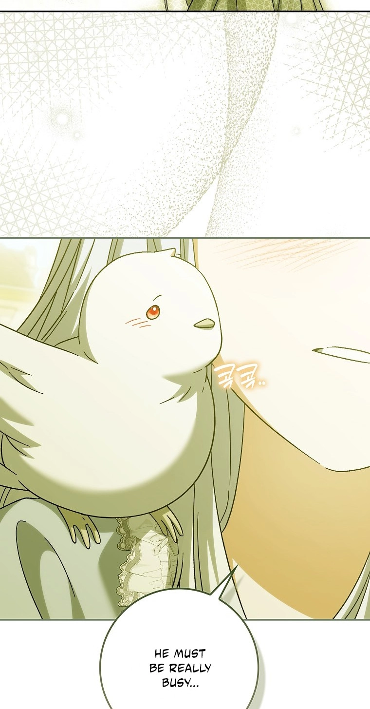 The White Tiger Princess is Not in Danger Chapter 42 371 a4779bff77e8
