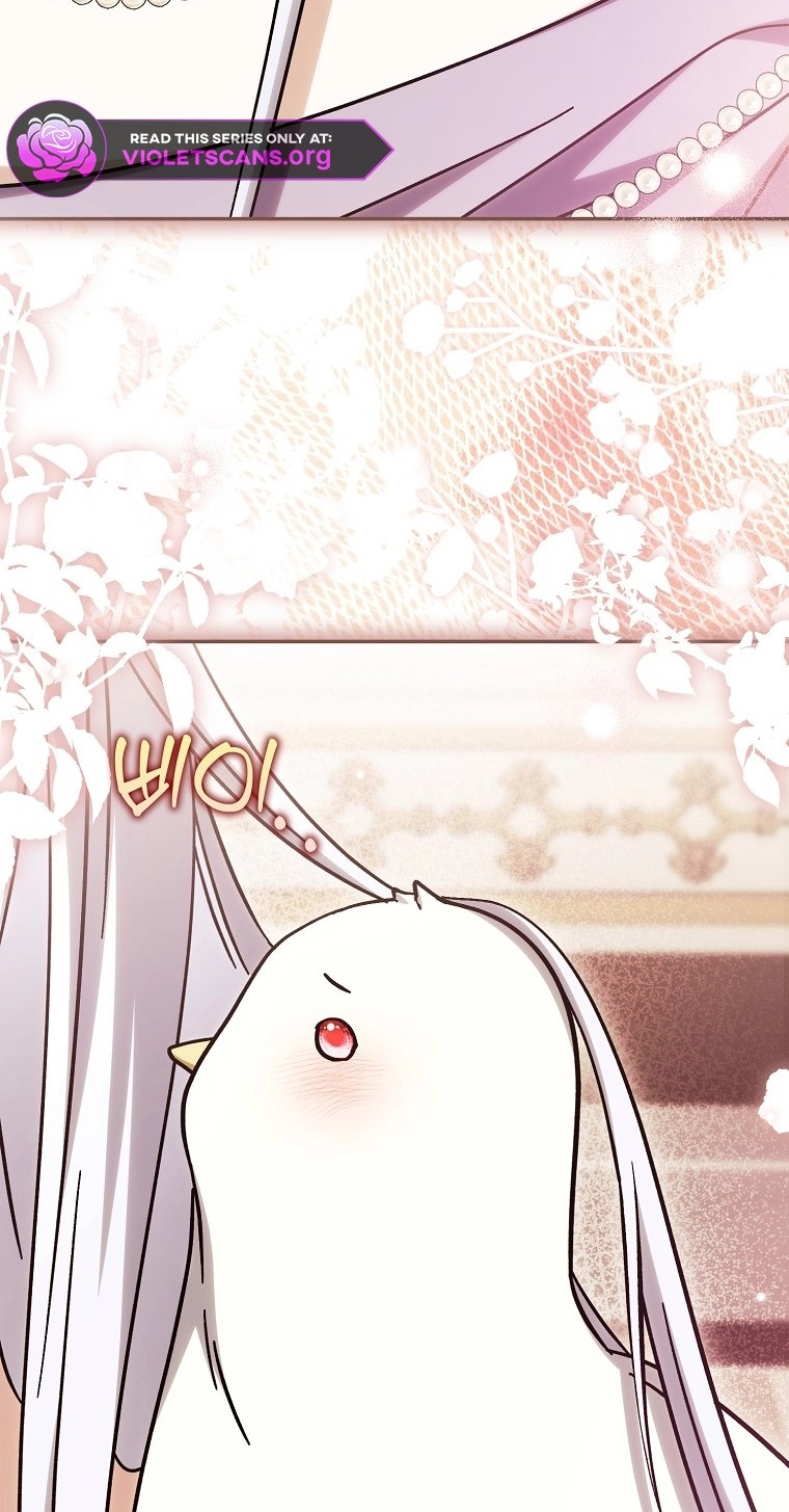 The White Tiger Princess is Not in Danger Chapter 43 326 d2e132b48150
