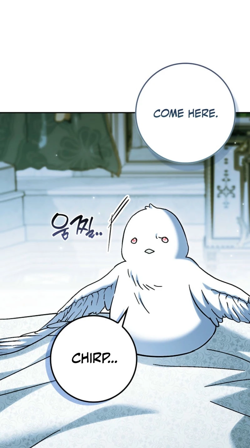 The White Tiger Princess is Not in Danger Chapter 48 402 473c2edc5e48