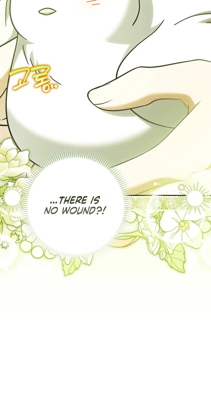 The White Tiger Princess is Not in Danger Chapter 48 345 bc61e574056e