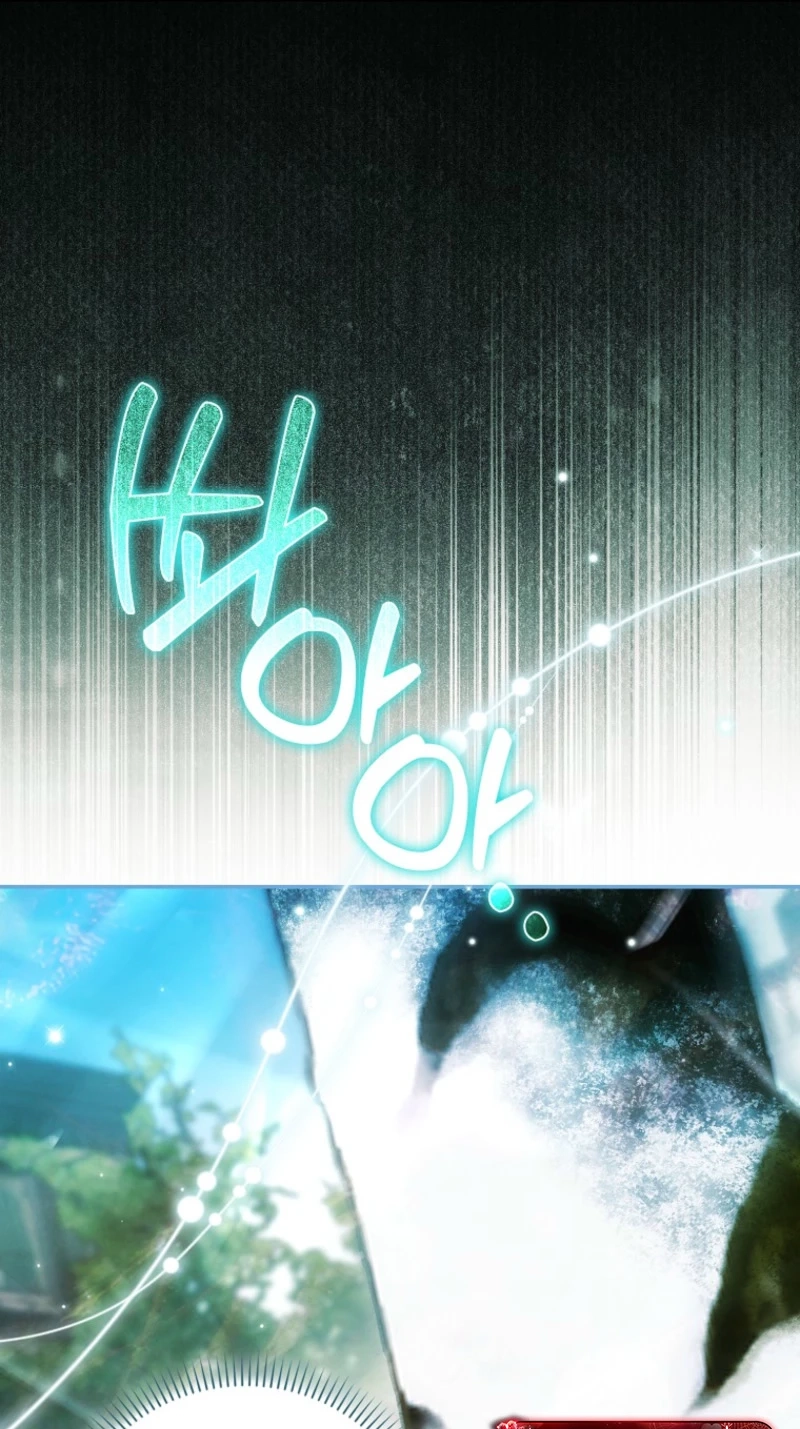 6b50a08110e6