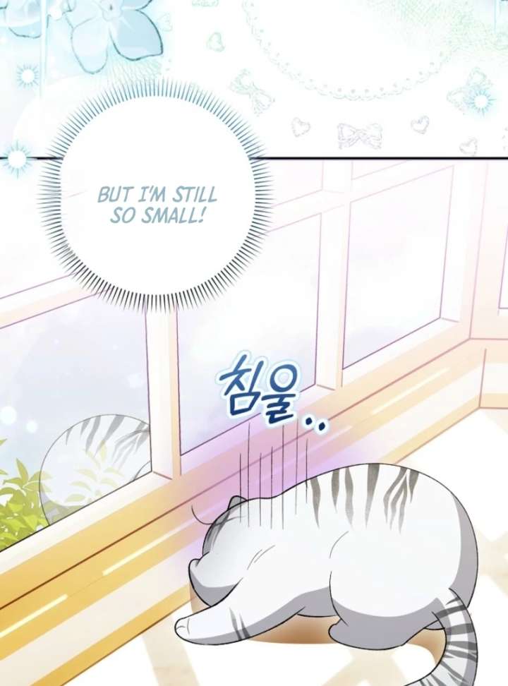 The White Tiger Princess is Not in Danger Chapter 8 513 005