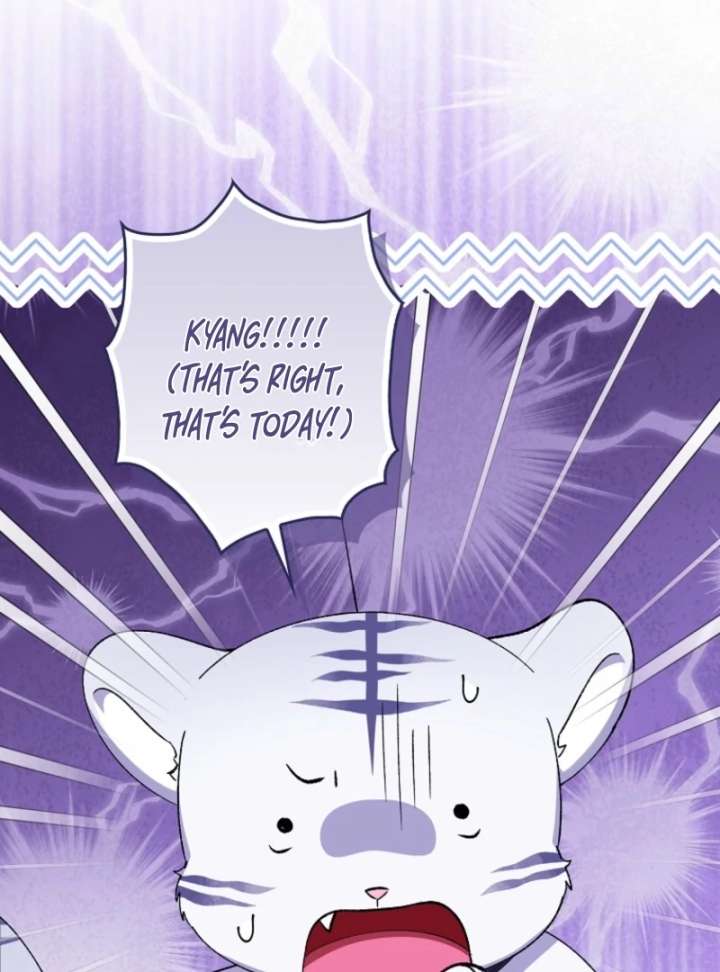 The White Tiger Princess is Not in Danger Chapter 8 520 012
