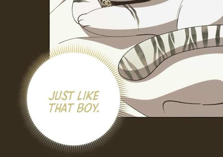 The White Tiger Princess is Not in Danger Chapter 8 570 062