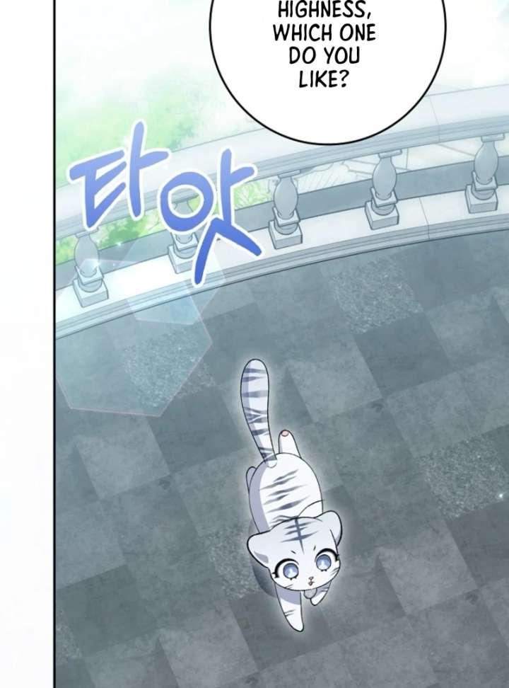 The White Tiger Princess is Not in Danger Chapter 8 611 103