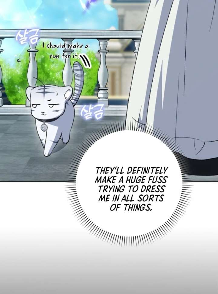 The White Tiger Princess is Not in Danger Chapter 8 619 111