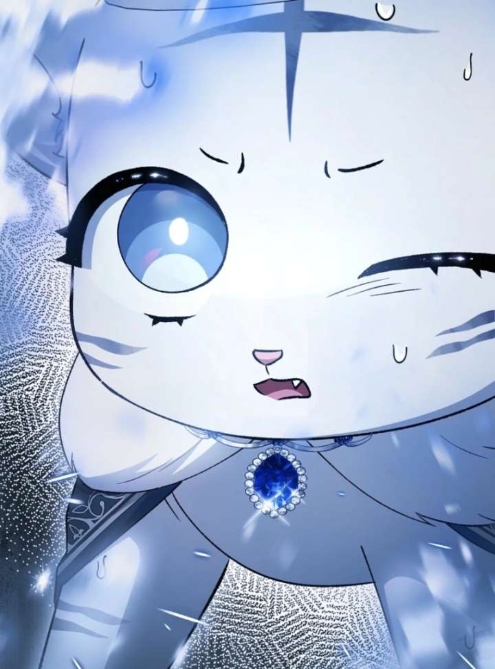 The White Tiger Princess is Not in Danger Chapter 8 649 141