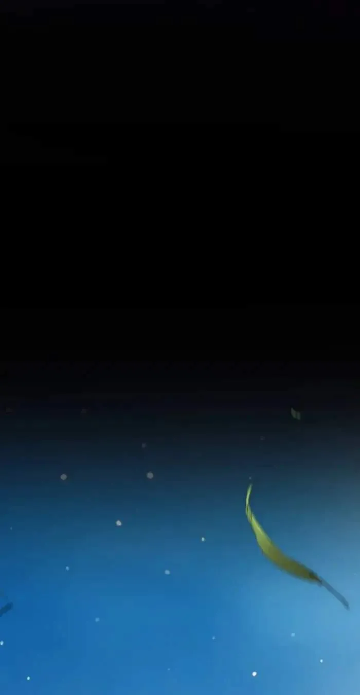 a77e41e6923f