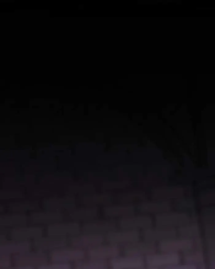ae61991d6d62
