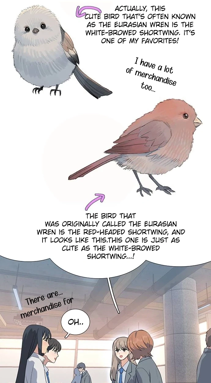 A Youth Observation Journal: Wings Before the Nest Chapter 8 275 f99aca082c11