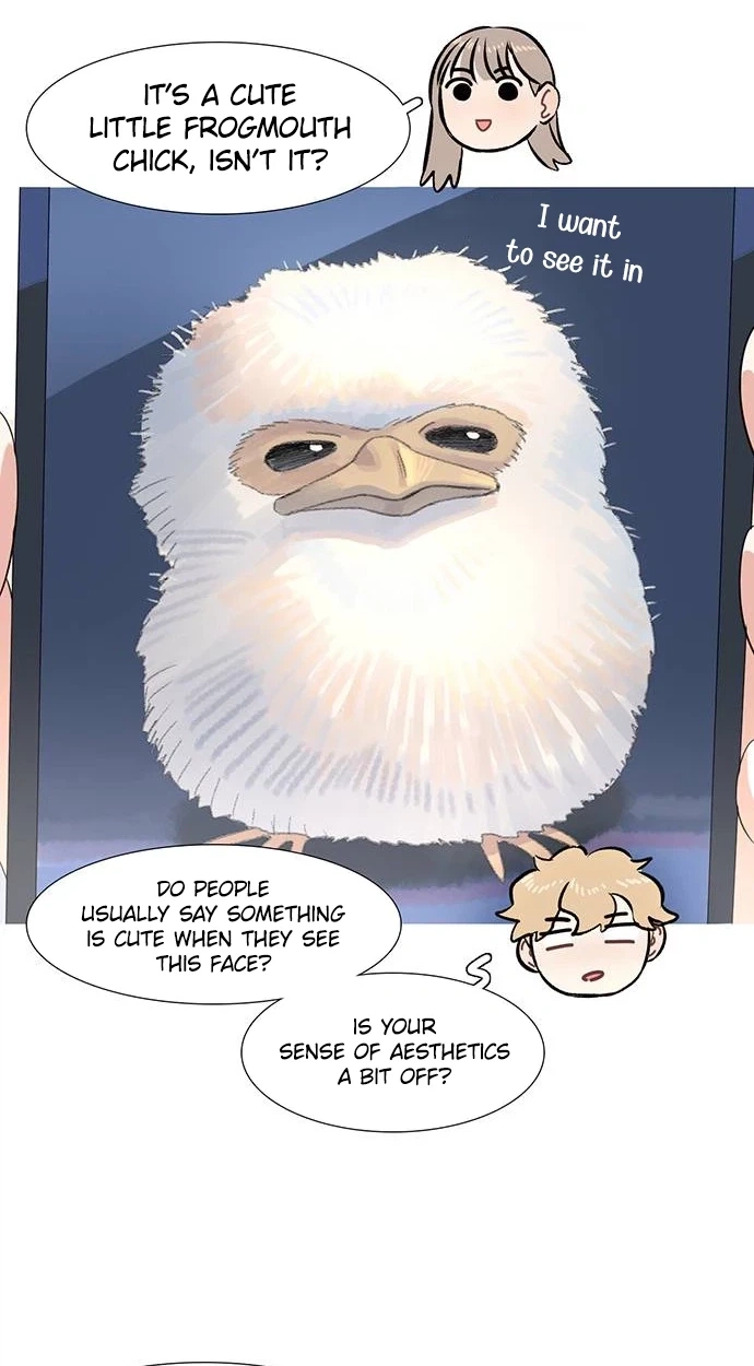 A Youth Observation Journal: Wings Before the Nest Chapter 9 353 99b240e393ac