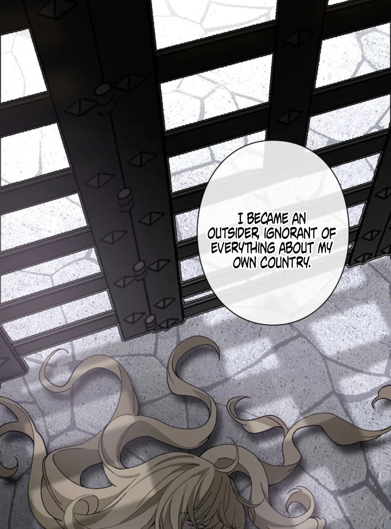 In the Ice Emperor’s Birdcage Chapter 19 317 010