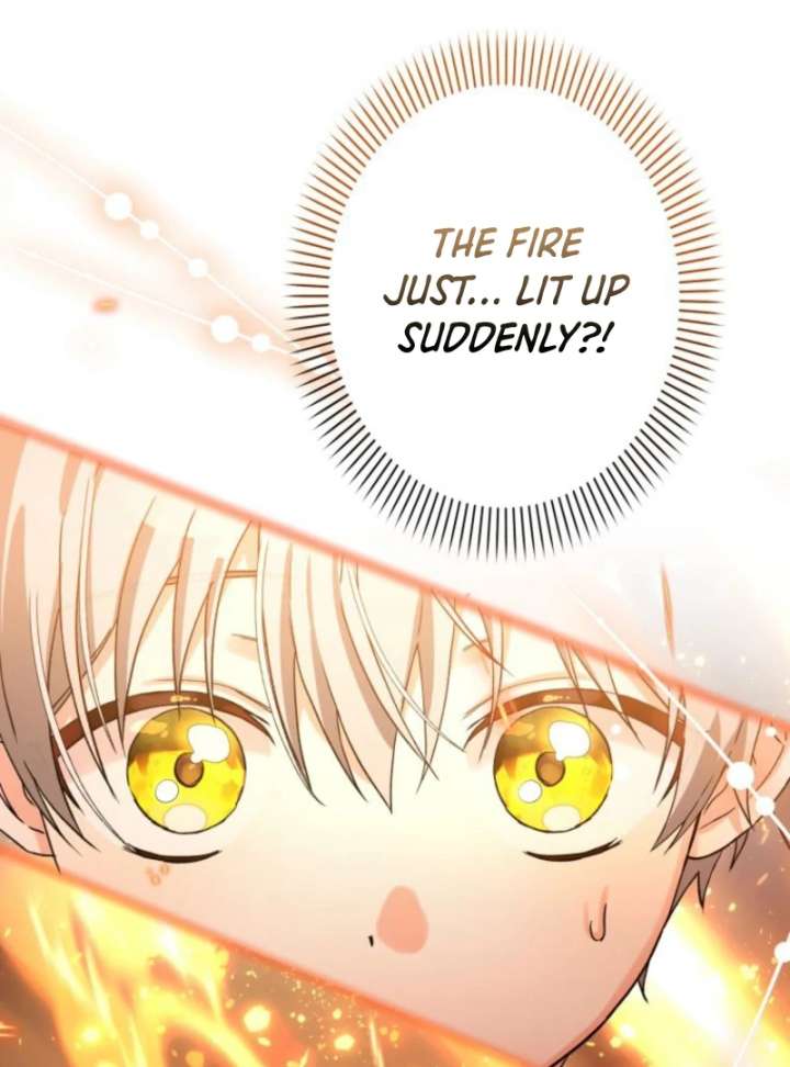 I Ended Up Becoming the Villain’s Personal Chef Chapter 14 480 071
