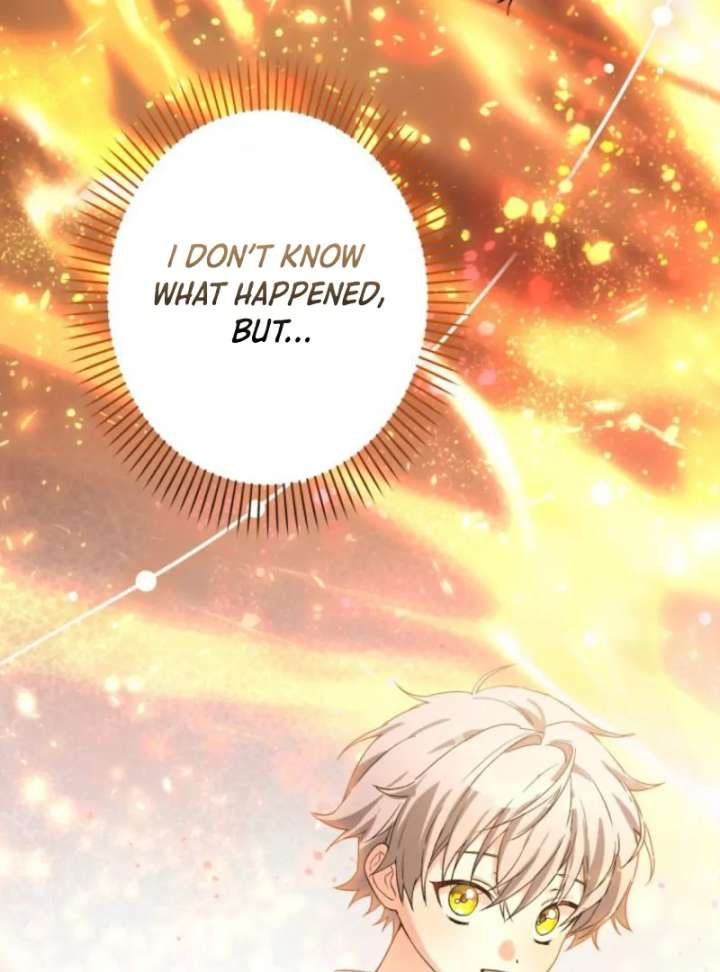 I Ended Up Becoming the Villain’s Personal Chef Chapter 14 481 072