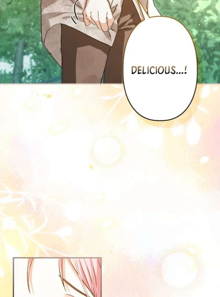 I Ended Up Becoming the Villain’s Personal Chef Chapter 3 438 098