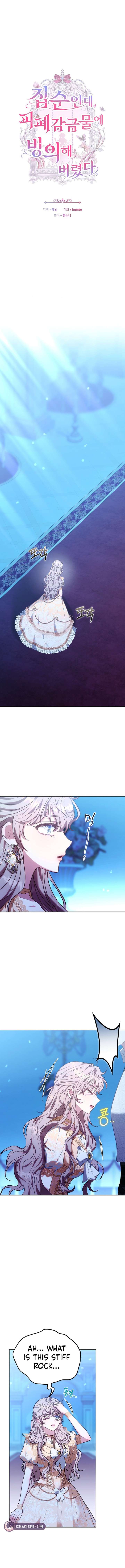 006