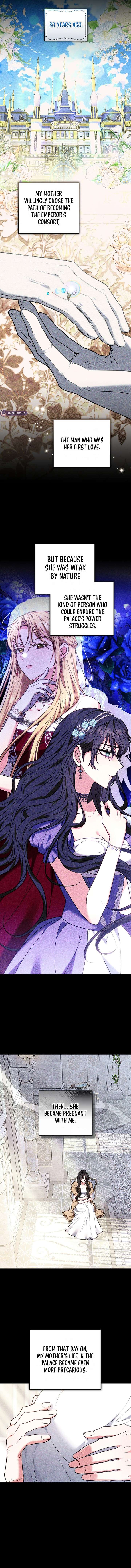 ch 40 2