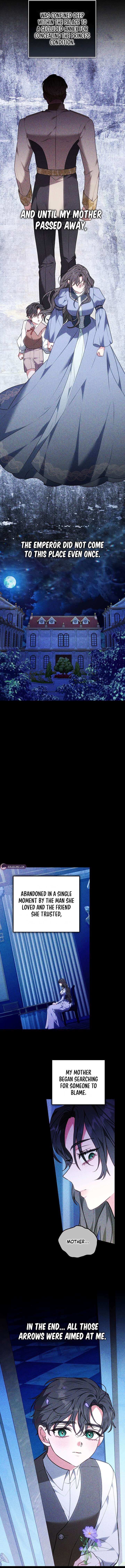 ch 40 5