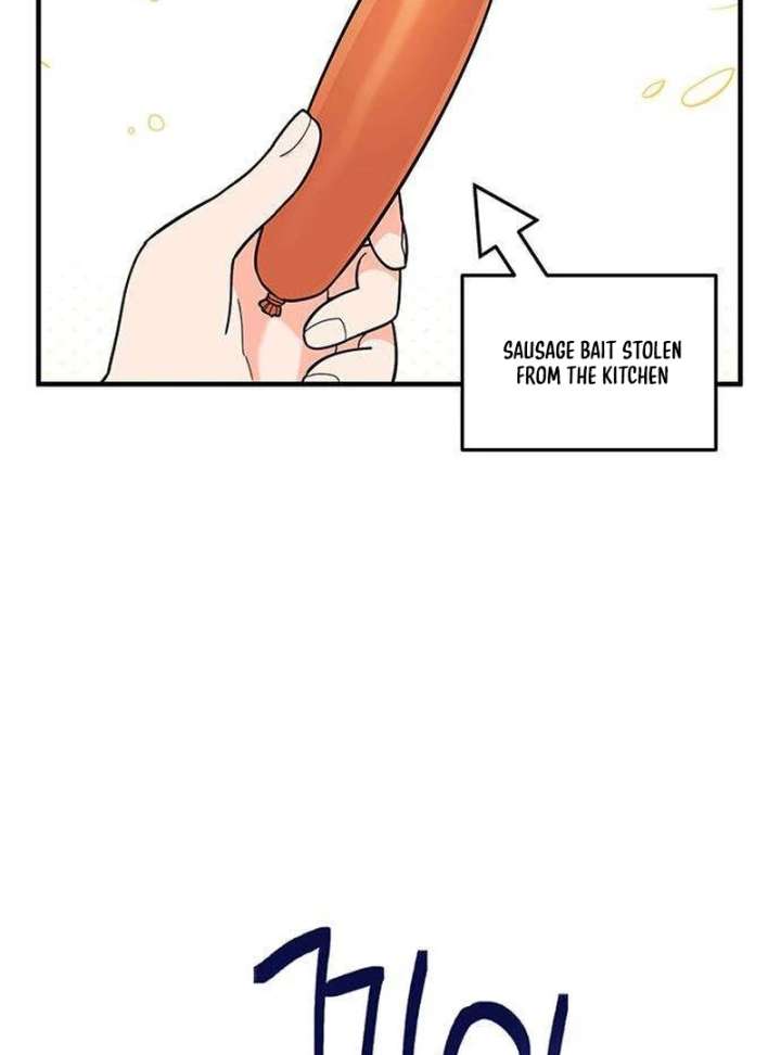 113
