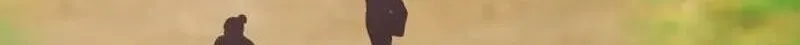 33be059ce775