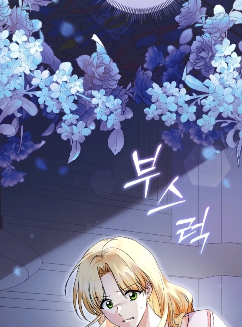 Let’s Divorce, Not Obsess! Chapter 1 466 006