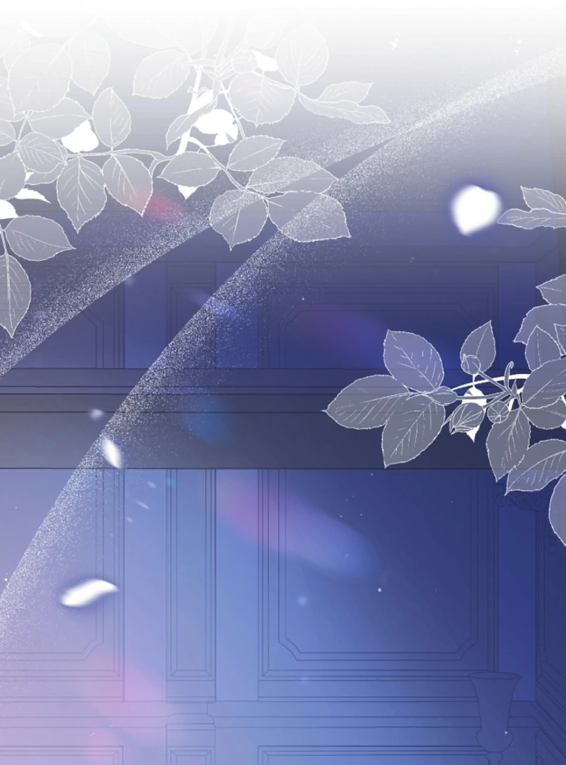 Let’s Divorce, Not Obsess! Chapter 1 497 037