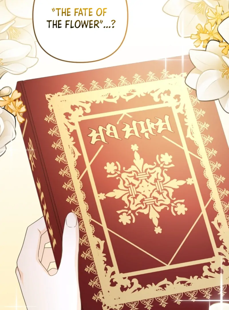 Let’s Divorce, Not Obsess! Chapter 1 513 053