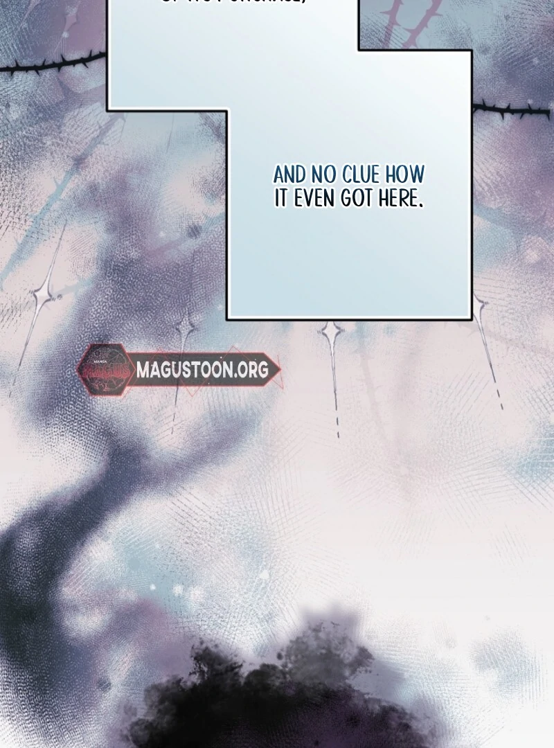 Let’s Divorce, Not Obsess! Chapter 1 566 106