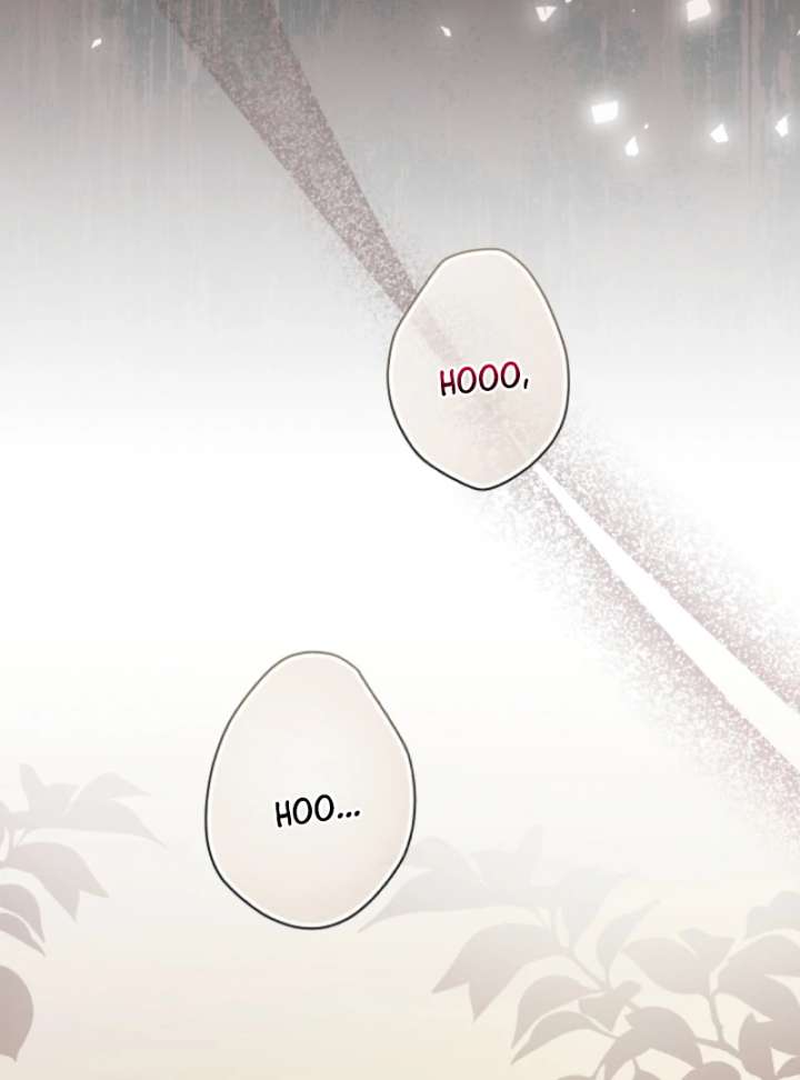 Let’s Divorce, Not Obsess! Chapter 13 596 130