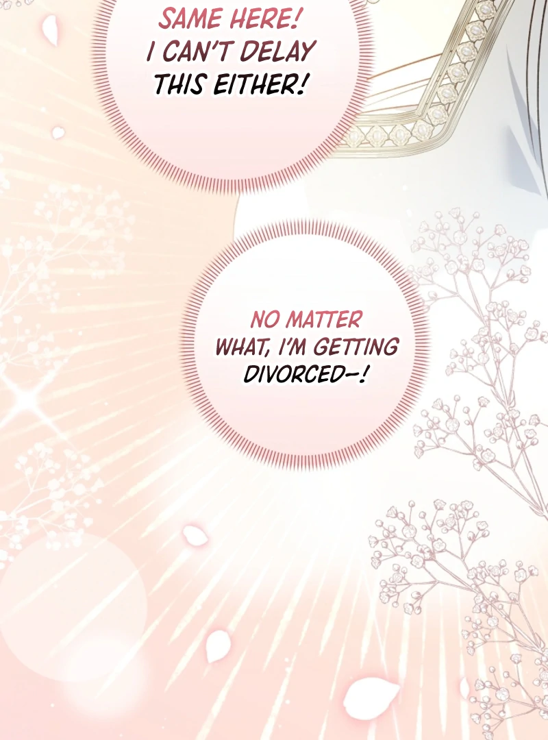 Let’s Divorce, Not Obsess! Chapter 15 450 095