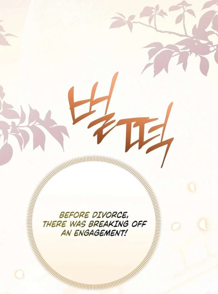 Let’s Divorce, Not Obsess! Chapter 16 440 019