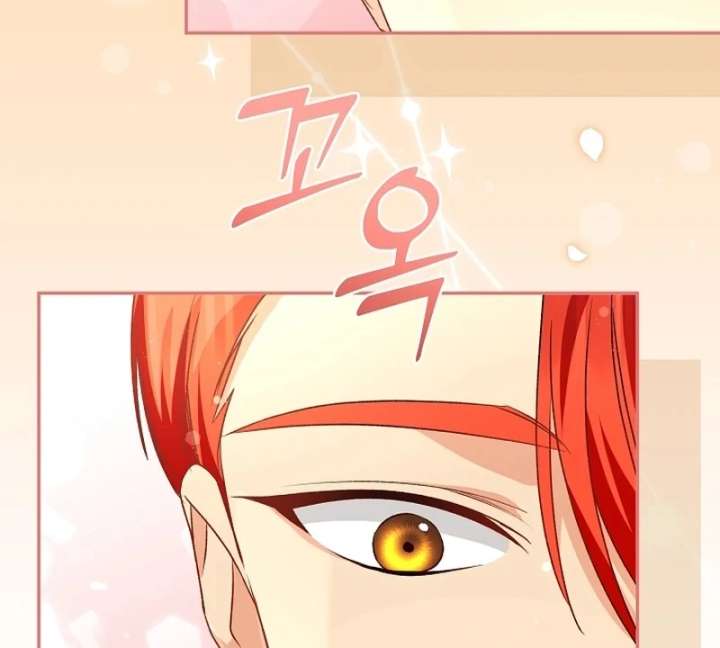 Let’s Divorce, Not Obsess! Chapter 17 511 114