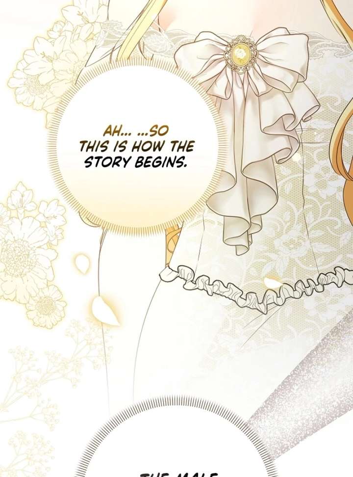 Let’s Divorce, Not Obsess! Chapter 23 449 010