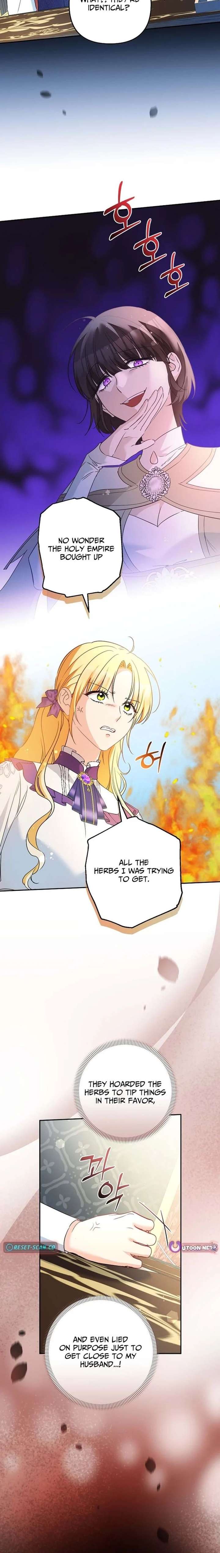 ch 42 16