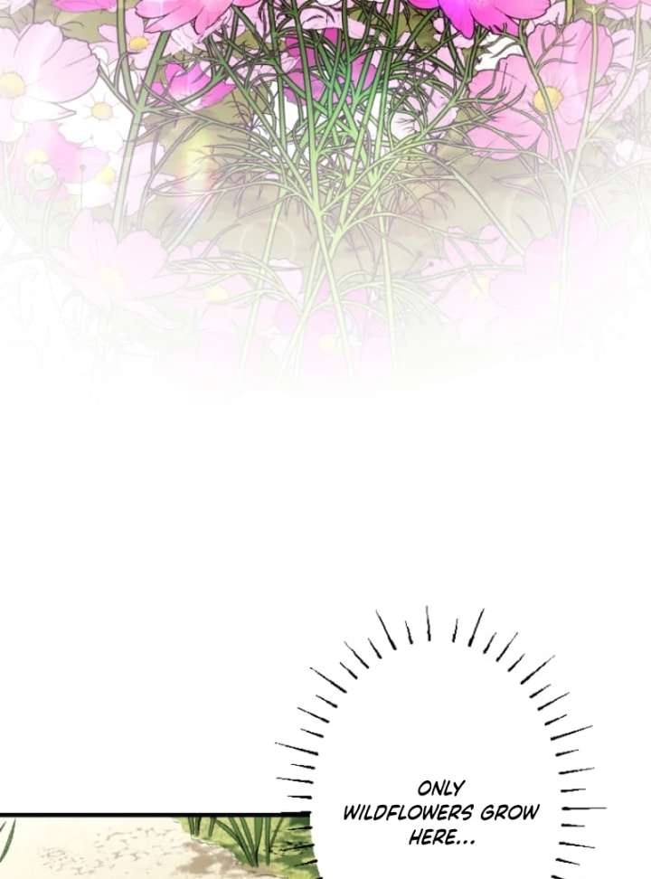066