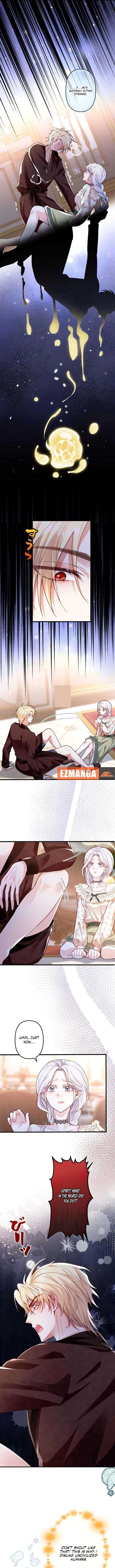 ch 24 4