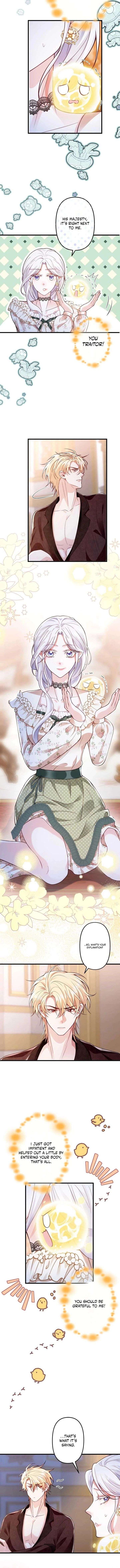 ch 24 5