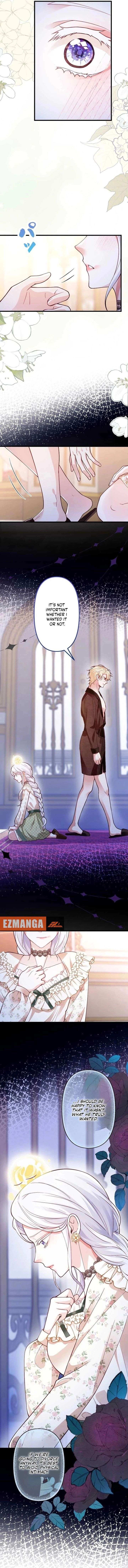 ch 24 7