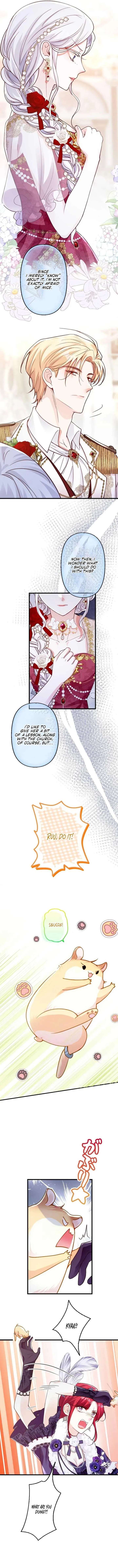 ch 28 11
