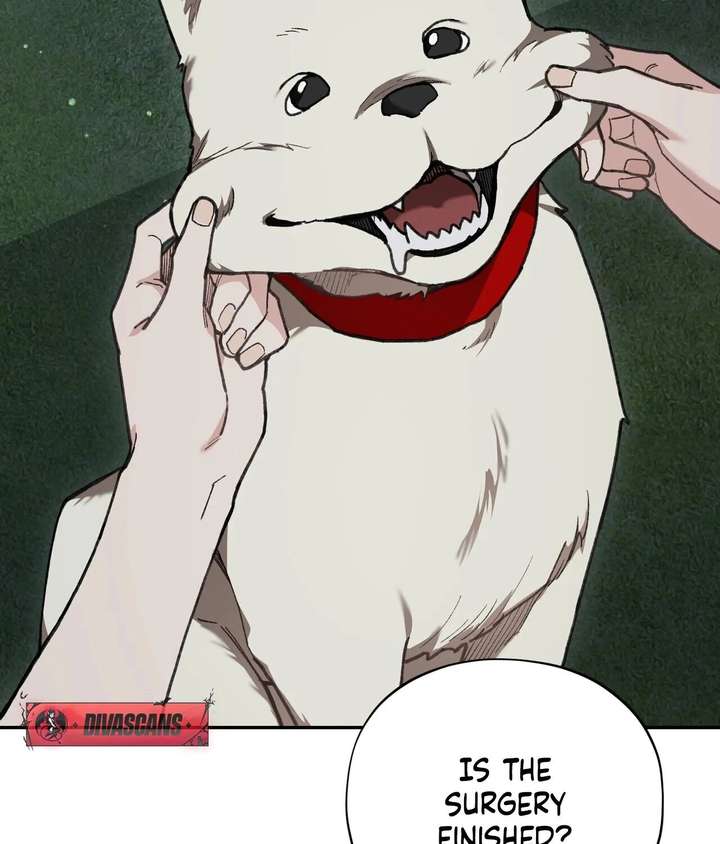 ch 20 41